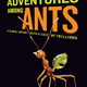 Illustration for article titled Why size doesn’t matter: Ants and world domination